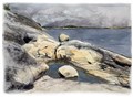 Hövikstrand juli- 22.jpg